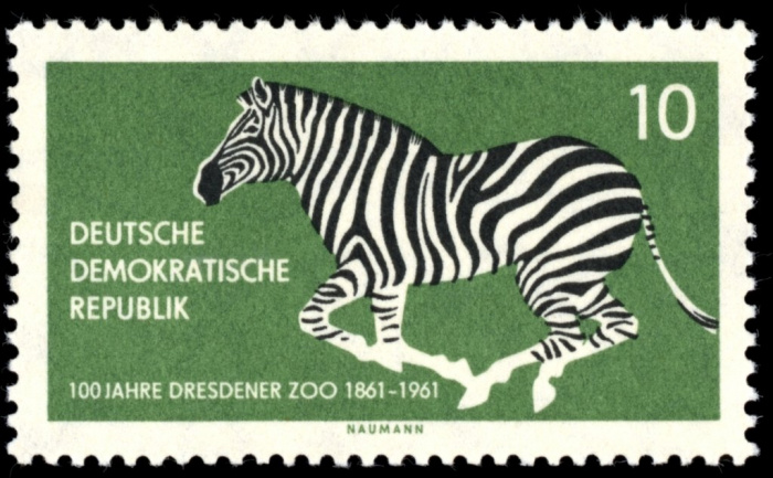 (1961-019) Марка Германия (ГДР) &quot;Зебра&quot;    Зоопарк, Дрезден III O